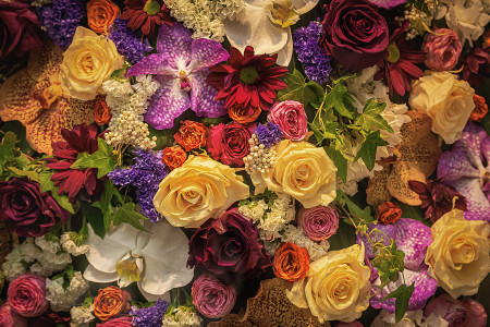 Borítókép: Milyen virág illik hozzád a születési hónapod szerint? 