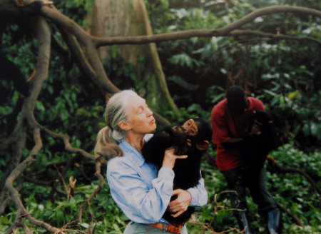 Borítókép: Elhunyt a bolygó igazi hőse: így tette jobb hellyé a világot Jane Goodall világhírű csimpánzkutató 