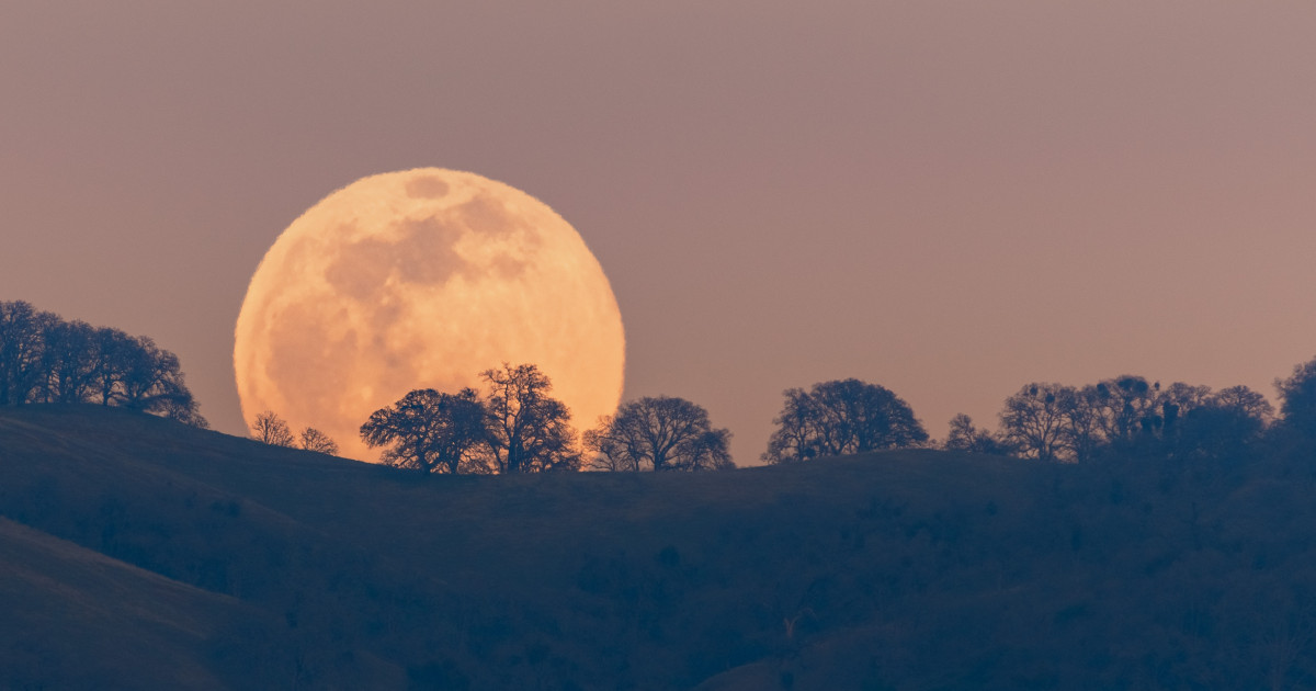 Borítókép: Sorsfordító szerencsét hoz a szuperhold ennek az 5 csillagjegynek októberben