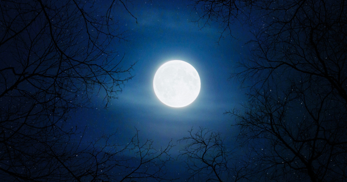 Borítókép: 4 csillagjegy, akiknek szerencsét és boldogságot hoz az októberi telihold: rájuk nagyon pozitívan hat a szuperhold!