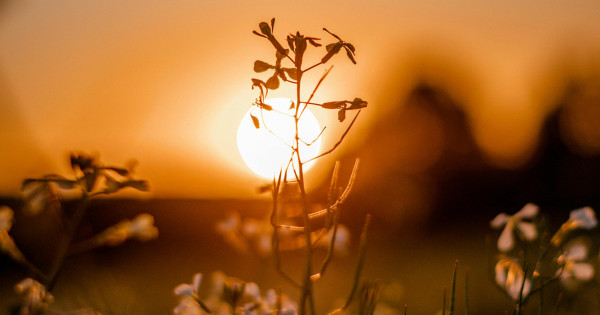 Borítókép: 4 csillagjegy, akinek most sorsfordító robbanást hoz a Kos telihold az életébe - heti horoszkóp: október 6-12.