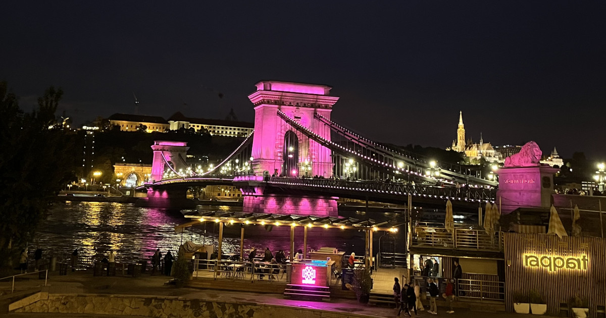 Borítókép: A Ford hazai szervezete idén is kiemelten támogatja a mellrák elleni küzdelmet!