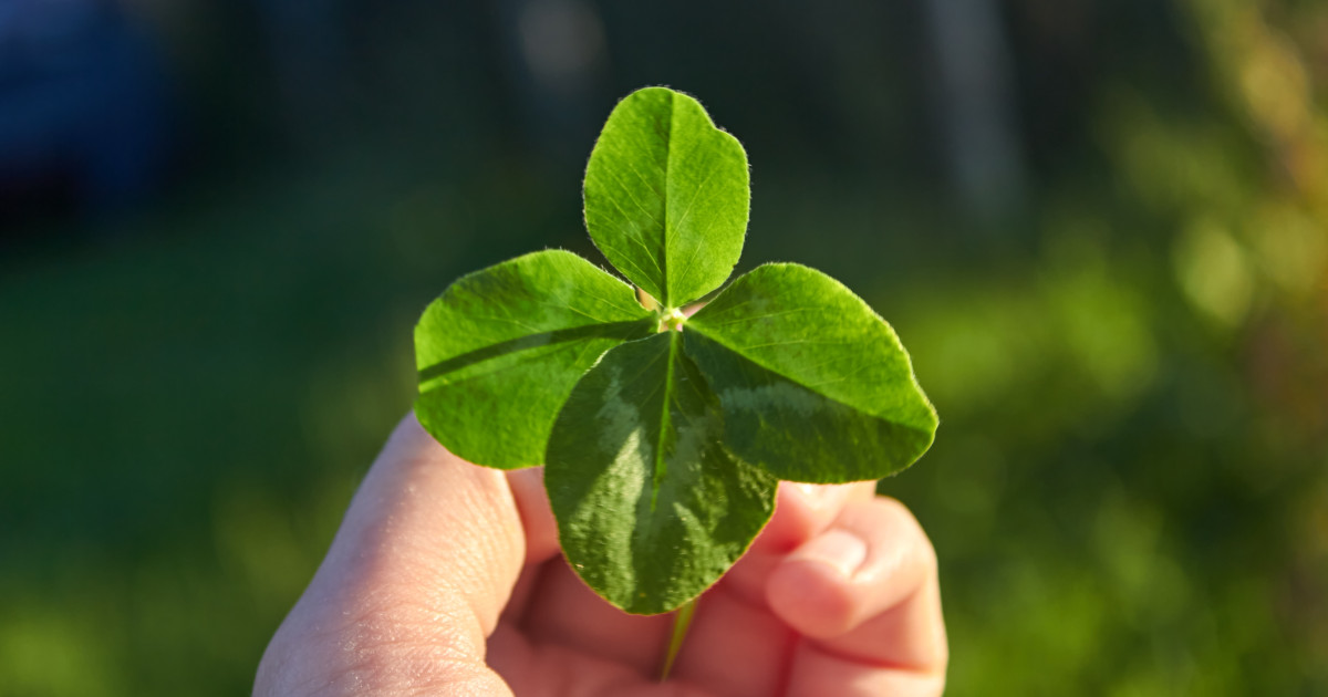 Borítókép: Pénz, szerelem, siker: 5 csillagjegy, aki szuper szerencsés lesz az októberi újhold által!