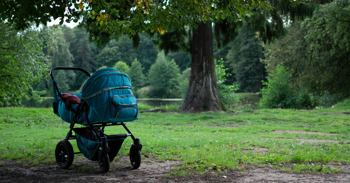 Borítókép: A szinkronicitás - naplóbejegyzés egy furcsa napról
