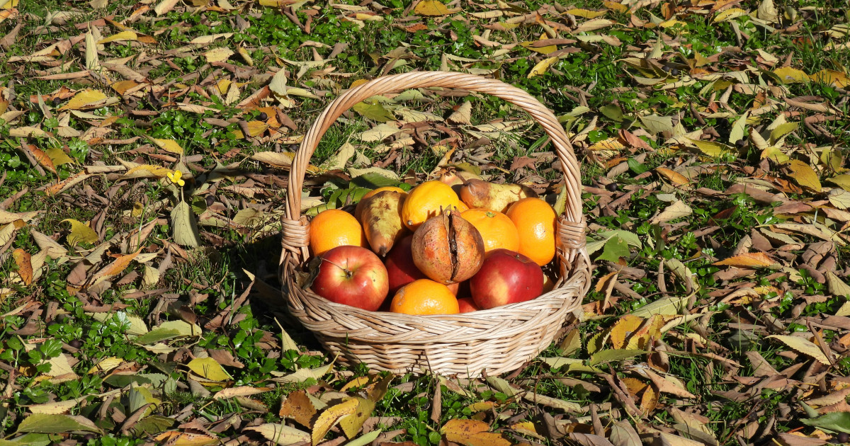 5 őszi gyümölcs, aminek fogyasztásával megelőzheted a szív- és érrendszeri betegségeket