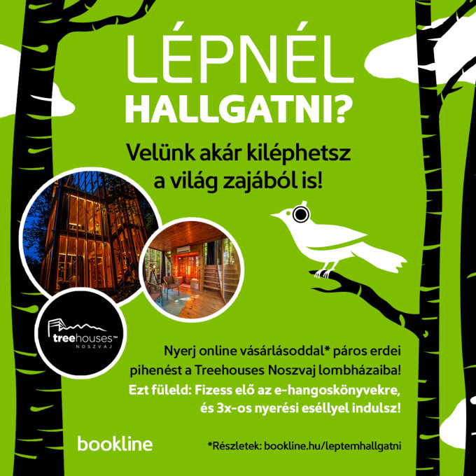Kép