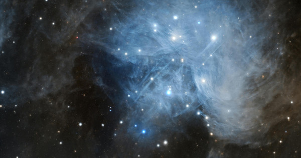 Borítókép: 3 csillagjegy, aki nagyon sok pénzhez juthat a következő hetekben - nekik szerencsét hoz a november!