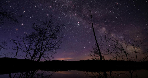 Borítókép: 3 csillagjegy, aki vonzza a szerencsét és a pénzügyi sikert november 9-ig: a Bika telihold és a Skorpió Nap fényszögének energiái rájuk lesznek a legerősebb hatással!