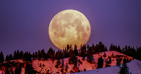 Borítókép: 4 csillagjegy, akinek sorsfordító változásokat hoz a november 13-i Hold kvadrát – lehetőségük lesz most javítani a kapcsolatukon!