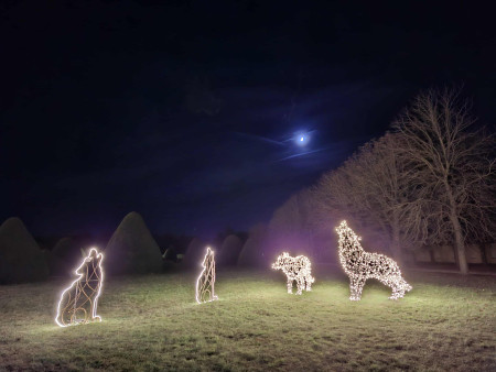 Borítókép: Fertő-tó, ragyogó ősz - Fertődön és környékén jártunk