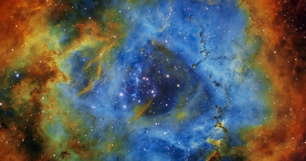 Borítókép: Sorsfordító 24 óra: A csillagjegyed szerint ez lesz a legsikeresebb és legszerencsésebb napod a 48. héten