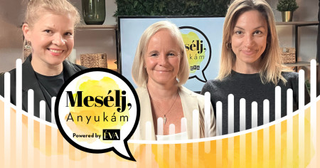 Borítókép: Mesélj, Anyukám! A váltott gondoskodásról a szülő, a gyerek és a pszichológus szemével