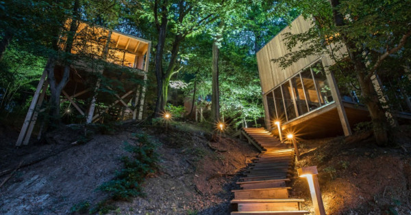 Borítókép: A téli csodahely, ahol lelassul az idő – így varázsol ünnepi hangulatot a Treehouses Noszvaj