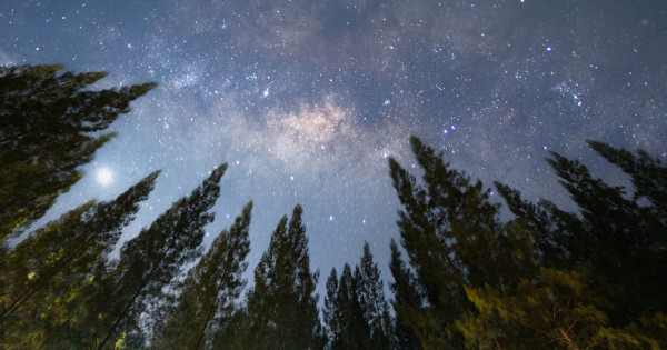 Borítókép: 4 csillagjegy, aki vonzza a szerencsét és a pénzügyi sikert december 21-ig: a Vénusz és a Szaturnusz energiái rájuk lesznek a legerősebb hatással!