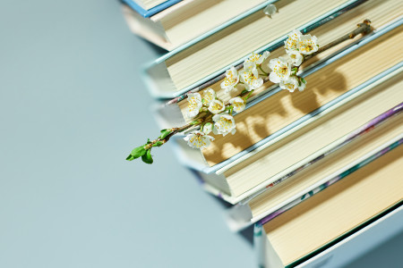 Borítókép: Könyves körkép 2025: ezek voltak az év legfontosabb történetei a magyar olvasók szerint