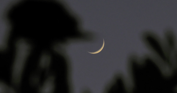 Borítókép: 4 csillagjegy, akinek hatalmas változást vesz az élete még decemberben - nekik kész áldás lesz a Nyilas újhold!