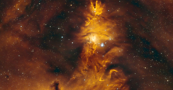 Borítókép: Nagy karácsonyi horoszkóp: Így hat a különböző csillagjegyekre 2025-ben az ünnepi szezon