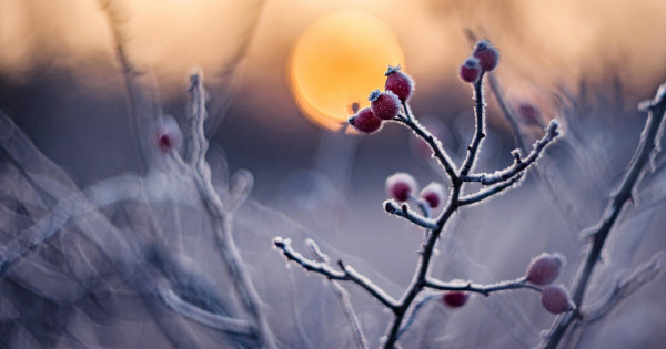 Borítókép: 4 csillagjegy, aki vonzza a szerencsét és a pénzügyi sikert január 11-ig - a Jupiter és a Vénusz energiái most nekik kedveznek!