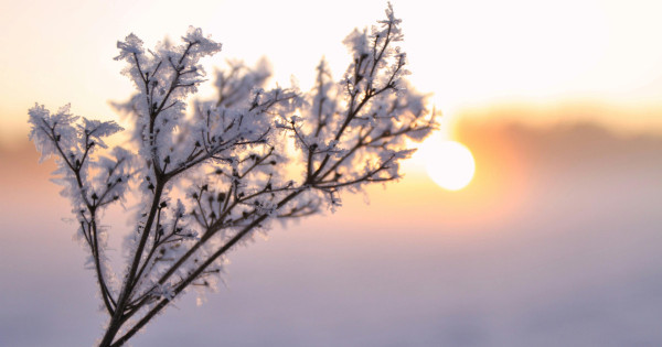 Borítókép: A lélek még kapaszkodna, a realitás már kérdez: mit tanít a Bak–Rák feszültség az év elején nekünk?