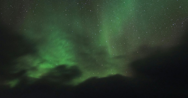 Borítókép: 4 csillagjegy, aki vonzza a gazdagságot és jólétet január 17-től