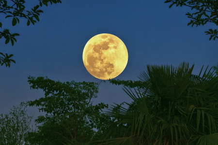 Borítókép: Az 5 legszerencsésebb jegy a februári telihold alatt: bőség és ragyogás vár rájuk