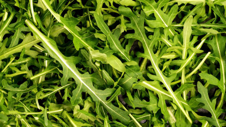 Borítókép: Egyesek imádják, mások ki nem állhatják: megnéztük, mi áll a rukkola-rejtély mögött!