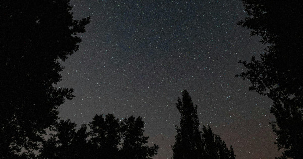 Borítókép: 4 csillagjegy, aki vonzza a gazdagságot és jólétet január 31-től
