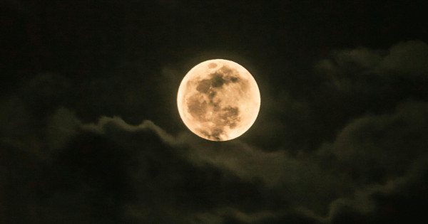 Borítókép: 5 csillagjegy, akiknek szerencsét és boldogságot hoz a februári telihold: rájuk nagyon pozitívan hat a Havas Hold!