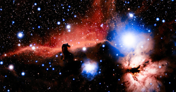 Borítókép: Egyetlen mondat, ami az asztrológus szerint leginkább jellemzi majd az éved 2026-ban