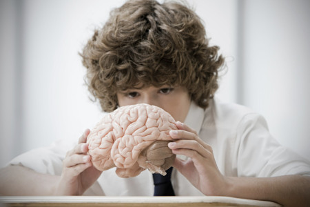 Borítókép:  5 dolog, ami segíti a gyermekek egészséges agyi fejlődését: az idegsebész tanácsai