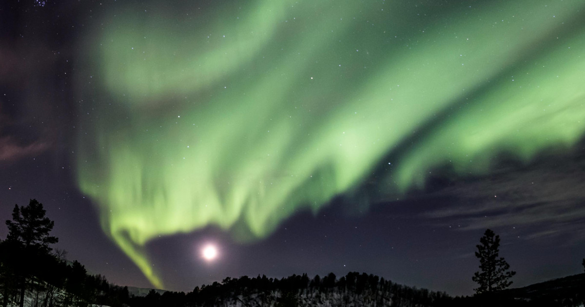 Borítókép: 3 csillagjegy, akit az univerzum homlokon csókol  február 8-án és az életében minden a helyére kerül