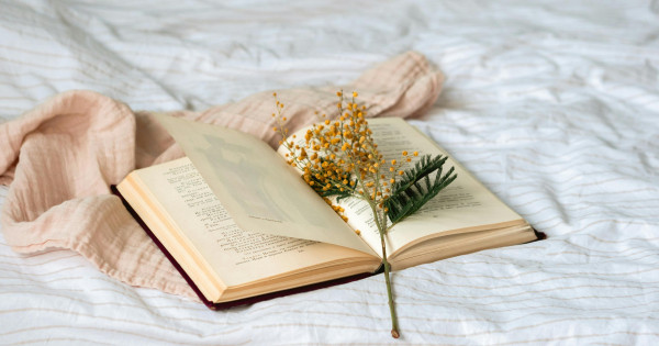 Borítókép: 7 skandináv krimi, ami annyira izgalmas, hogy egy nap alatt kiolvasod!