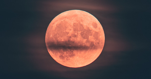 Borítókép: 4 csillagjegy, akiknek szerencsét és boldogságot hoz az áprilisi telihold: rájuk nagyon pozitívan hat a Rózsaszín Hold!