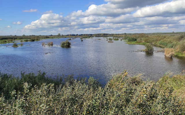 Fertő-Hanság Nemzeti Park