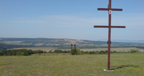 Kép