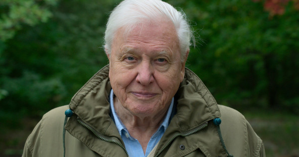 Borítókép: Toplista: A 100 éves David Attenborough 10 legjobb filmje, amit egyszer mindenkinek látnia kell