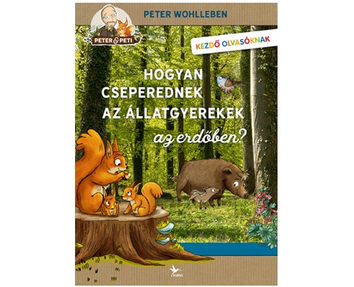 Kép