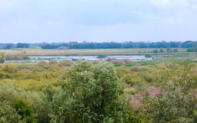 Kiskunsági Nemzeti Park