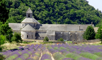 Borítókép: Levendula! Mánia!