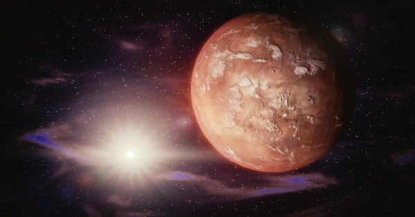 Kép