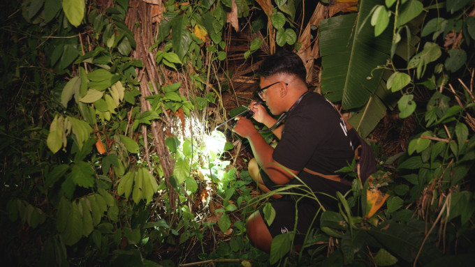 Agung viperakeresés közben