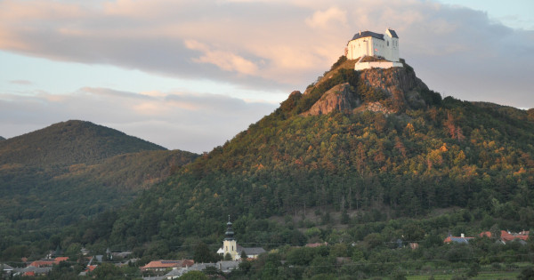 Kép