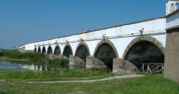 Kép