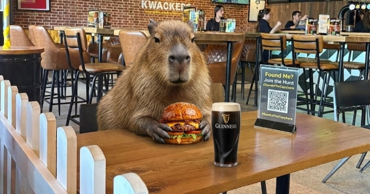 Kép