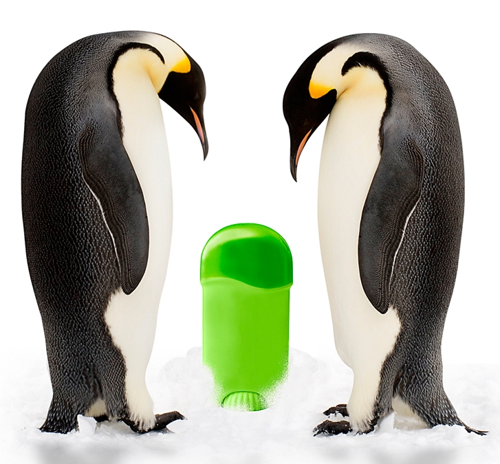 Borítókép: A dezodordilemma