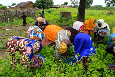 Borítókép: A szépség még sosem volt ilyen természetes