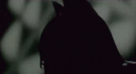 01 reakciók dolgok amivel a fiatalon házasodók találkoznak fiatal házasok.gif