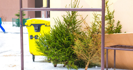 Borítókép: Ti mikor szeditek le a díszeket a karácsonyfáról?