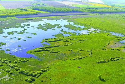 Borítókép: A béke szigetei #8: Kis-Balaton