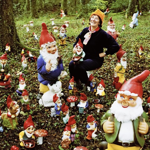 Borítókép: Gyűjtögető életmód